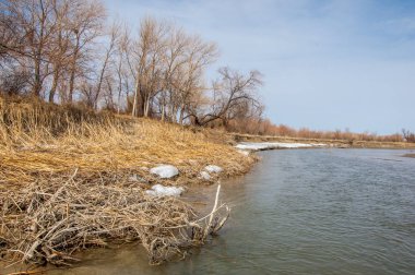 nehir son buz. Son buz parçası. son buz Ili Nehri üzerinde iğne. Orta Asya, Kazakistan bozkırlarında
