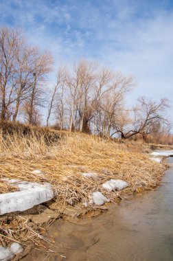 nehir son buz. Son buz parçası. son buz Ili Nehri üzerinde iğne. Orta Asya, Kazakistan bozkırlarında