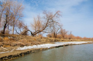 nehir son buz. Son buz parçası. son buz Ili Nehri üzerinde iğne. Orta Asya, Kazakistan bozkırlarında