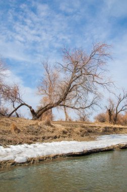 nehir son buz. Son buz parçası. son buz Ili Nehri üzerinde iğne. Orta Asya, Kazakistan bozkırlarında