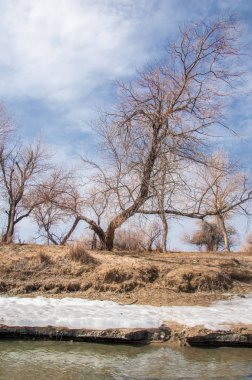 nehir son buz. Son buz parçası. son buz Ili Nehri üzerinde iğne. Orta Asya, Kazakistan bozkırlarında