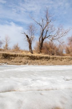 nehir son buz. Son buz parçası. son buz Ili Nehri üzerinde iğne. Orta Asya, Kazakistan bozkırlarında