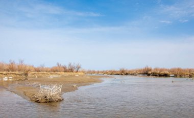 nehir son buz. Son buz parçası. son buz Ili Nehri üzerinde iğne. Orta Asya, Kazakistan bozkırlarında