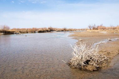 nehir son buz. Son buz parçası. son buz Ili Nehri üzerinde iğne. Orta Asya, Kazakistan bozkırlarında