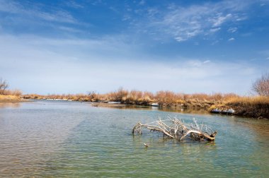 nehir son buz. Son buz parçası. son buz Ili Nehri üzerinde iğne. Orta Asya, Kazakistan bozkırlarında