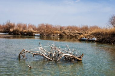 nehir son buz. Son buz parçası. son buz Ili Nehri üzerinde iğne. Orta Asya, Kazakistan bozkırlarında