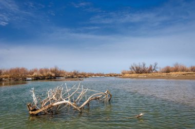 nehir son buz. Son buz parçası. son buz Ili Nehri üzerinde iğne. Orta Asya, Kazakistan bozkırlarında