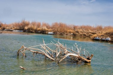 nehir son buz. Son buz parçası. son buz Ili Nehri üzerinde iğne. Orta Asya, Kazakistan bozkırlarında