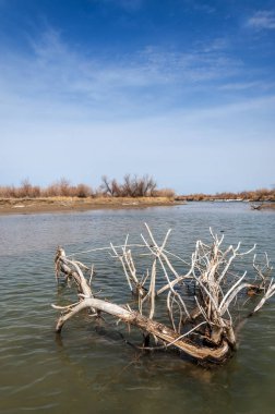 nehir son buz. Son buz parçası. son buz Ili Nehri üzerinde iğne. Orta Asya, Kazakistan bozkırlarında