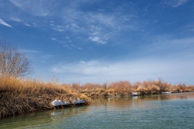 nehir son buz. Son buz parçası. son buz Ili Nehri üzerinde iğne. Orta Asya, Kazakistan bozkırlarında