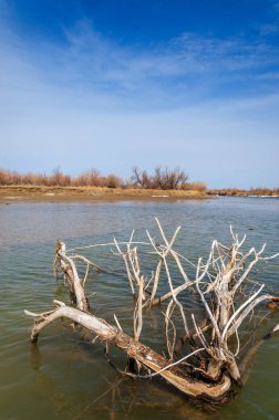 nehir son buz. Son buz parçası. son buz Ili Nehri üzerinde iğne. Orta Asya, Kazakistan bozkırlarında