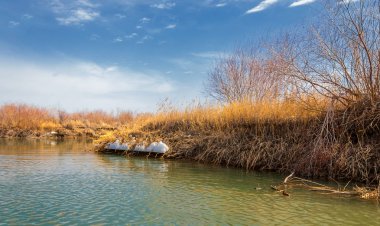 nehir son buz. Son buz parçası. son buz Ili Nehri üzerinde iğne. Orta Asya, Kazakistan bozkırlarında