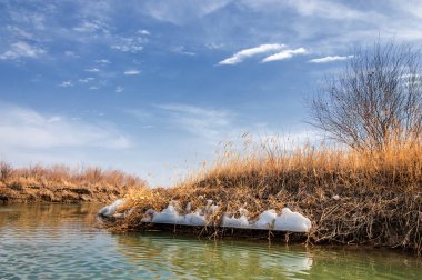 nehir son buz. Son buz parçası. son buz Ili Nehri üzerinde iğne. Orta Asya, Kazakistan bozkırlarında
