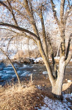 su küçük bir nehir erken ilkbahar akarsu. Bahar sahne. donmuş bir dere ile dağ manzarası