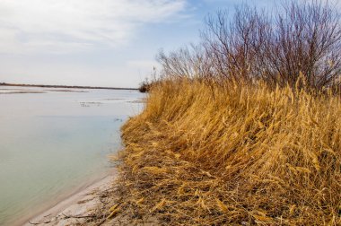 nehir son buz. Son buz parçası. son buz Ili Nehri üzerinde iğne. Orta Asya, Kazakistan bozkırlarında