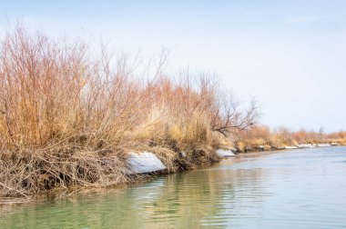 nehir son buz. Son buz parçası. son buz Ili Nehri üzerinde iğne. Orta Asya, Kazakistan bozkırlarında