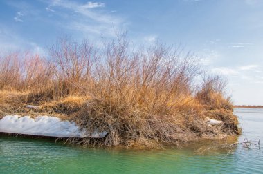 nehir son buz. Son buz parçası. son buz Ili Nehri üzerinde iğne. Orta Asya, Kazakistan bozkırlarında