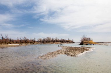 nehir son buz. Son buz parçası. son buz Ili Nehri üzerinde iğne. Orta Asya, Kazakistan bozkırlarında