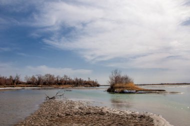 nehir son buz. Son buz parçası. son buz Ili Nehri üzerinde iğne. Orta Asya, Kazakistan bozkırlarında