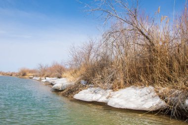 nehir son buz. Son buz parçası. son buz Ili Nehri üzerinde iğne. Orta Asya, Kazakistan bozkırlarında
