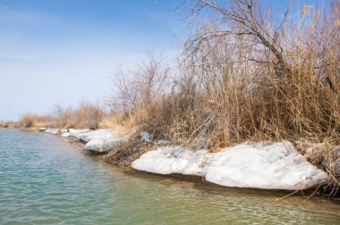 nehir son buz. Son buz parçası. son buz Ili Nehri üzerinde iğne. Orta Asya, Kazakistan bozkırlarında
