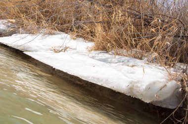 nehir son buz. Son buz parçası. son buz Ili Nehri üzerinde iğne. Orta Asya, Kazakistan bozkırlarında