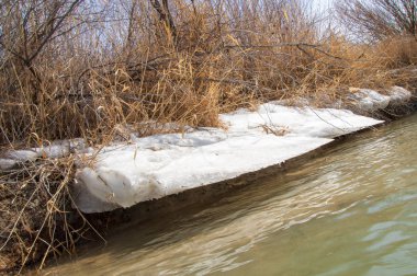 nehir son buz. Son buz parçası. son buz Ili Nehri üzerinde iğne. Orta Asya, Kazakistan bozkırlarında
