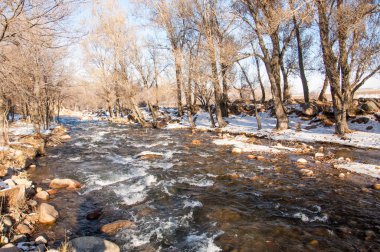 su küçük bir nehir erken ilkbahar akarsu. Bahar sahne. donmuş bir dere ile dağ manzarası