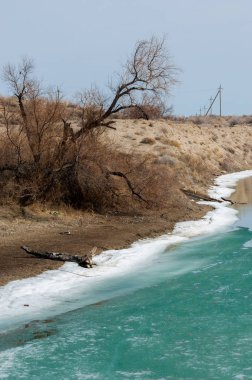nehir son buz. Son buz parçası. son buz Ili Nehri üzerinde iğne. Orta Asya, Kazakistan bozkırlarında