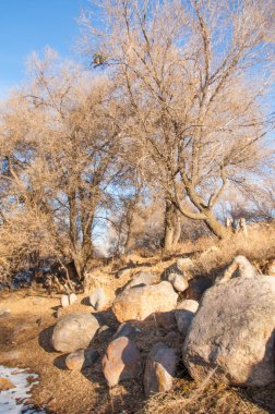 su küçük bir nehir erken ilkbahar akarsu. Bahar sahne. donmuş bir dere ile dağ manzarası