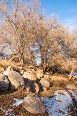 su küçük bir nehir erken ilkbahar akarsu. Bahar sahne. donmuş bir dere ile dağ manzarası