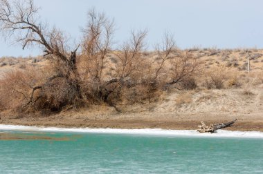 nehir son buz. Son buz parçası. son buz Ili Nehri üzerinde iğne. Orta Asya, Kazakistan bozkırlarında