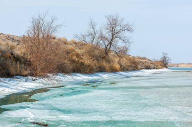 nehir son buz. Son buz parçası. son buz Ili Nehri üzerinde iğne. Orta Asya, Kazakistan bozkırlarında