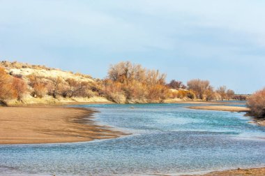 kum bahar bozkır. ağaçlar ve kum mavi gökyüzü arka plan üzerinde. Kazakistan bozkırlarında