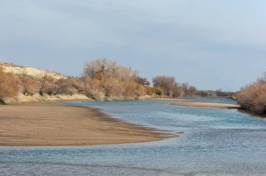 kum bahar bozkır. ağaçlar ve kum mavi gökyüzü arka plan üzerinde. Kazakistan bozkırlarında