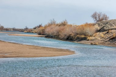 kum bahar bozkır. ağaçlar ve kum mavi gökyüzü arka plan üzerinde. Kazakistan bozkırlarında