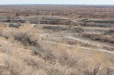 kum bahar bozkır. ağaçlar ve kum mavi gökyüzü arka plan üzerinde. Kazakistan bozkırlarında