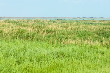 bozkır Gölü, Kazakistan bozkır fotoğraf Balkaş Gölü