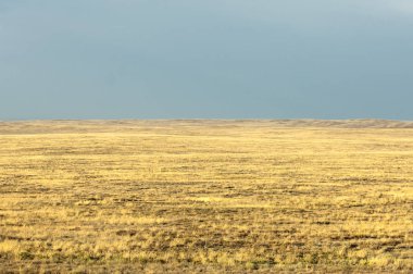 Bozkır. Ağaçsız, zavallı nem ve genellikle düz alan kuru bölgedeki otsu bitki örtüsü ile.
