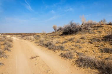 kum bahar bozkır. ağaçlar ve kum mavi gökyüzü arka plan üzerinde. Kazakistan bozkırlarında