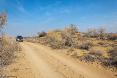 kum bahar bozkır. ağaçlar ve kum mavi gökyüzü arka plan üzerinde. Kazakistan bozkırlarında