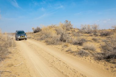 kum bahar bozkır. ağaçlar ve kum mavi gökyüzü arka plan üzerinde. Kazakistan bozkırlarında