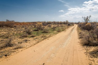 kum bahar bozkır. ağaçlar ve kum mavi gökyüzü arka plan üzerinde. Kazakistan bozkırlarında