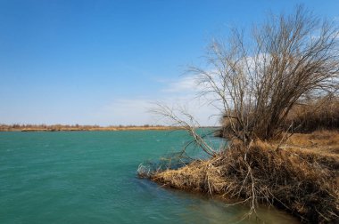 nehir bahar. bahar Nehri Orta Asya'da. Kazakistan bozkır nehir Semirechye. 