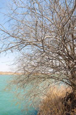 nehir bahar. bahar Nehri Orta Asya'da. Kazakistan bozkır nehir Semirechye. 