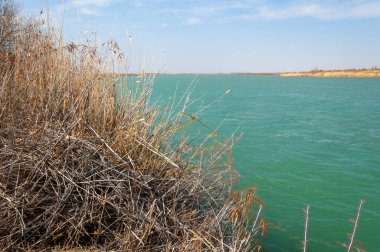 nehir bahar. bahar Nehri Orta Asya'da. Kazakistan bozkır nehir Semirechye. 
