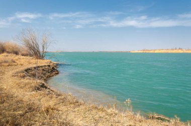 nehir bahar. bahar Nehri Orta Asya'da. Kazakistan bozkır nehir Semirechye. 