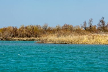 nehir bahar. bahar Nehri Orta Asya'da. Kazakistan bozkır nehir Semirechye. 
