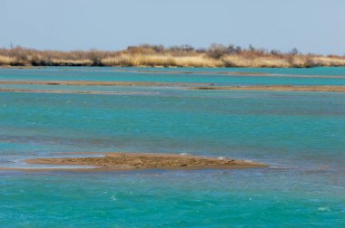nehir bahar. bahar Nehri Orta Asya'da. Kazakistan bozkır nehir Semirechye. 