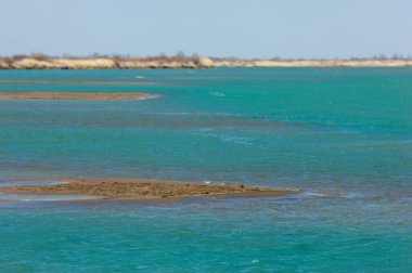 nehir bahar. bahar Nehri Orta Asya'da. Kazakistan bozkır nehir Semirechye. 